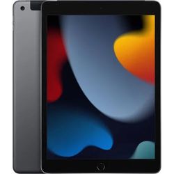 Apple iPad  - Unlocked, Gray, 256 GB, A2603