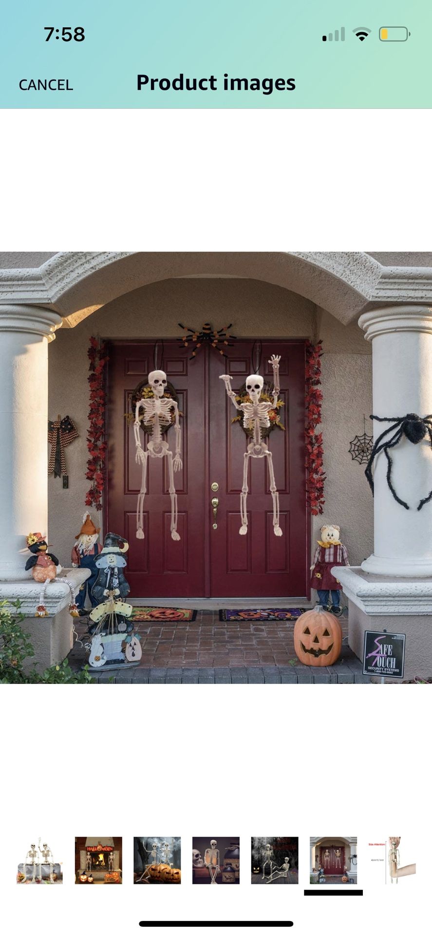 New Halloween Decor Skeleton