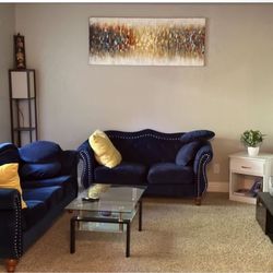 Blue Velvet Sofa Set 