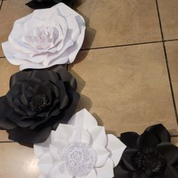 Black And White Flowers