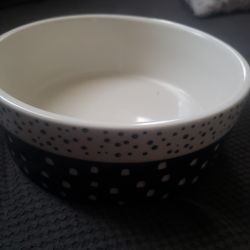 Pet Bowl 
