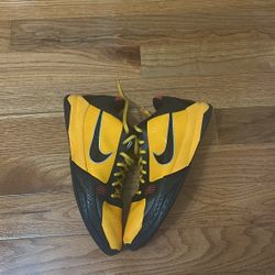 Kobe 5 bruce lees        want gone