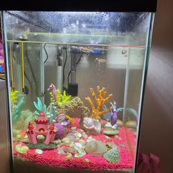 Fish tank, 10 gallons