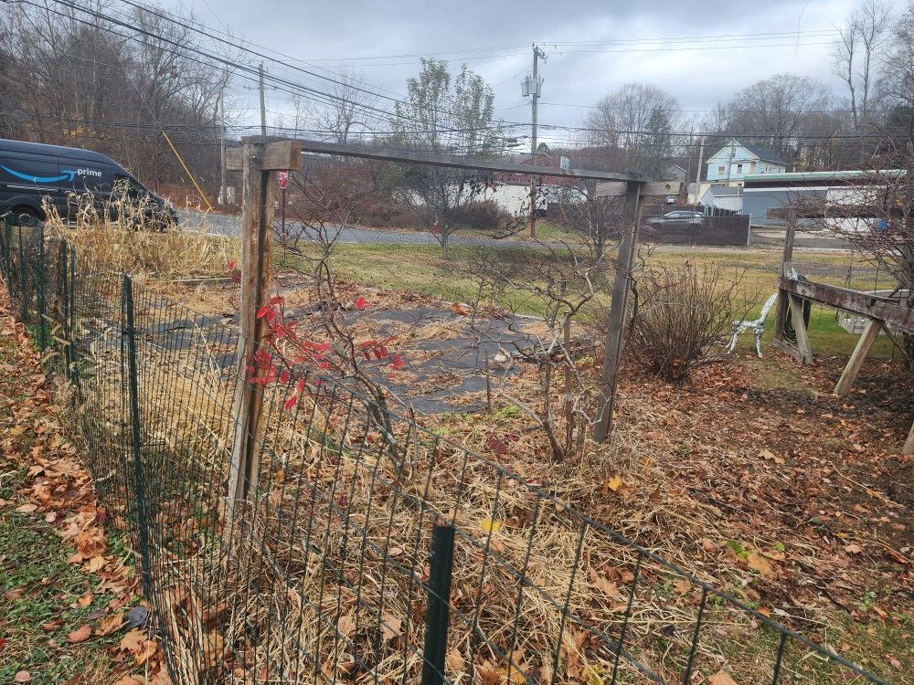 Temp Blueberry Bird Net Frame