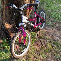 Bca sale mt20 bike