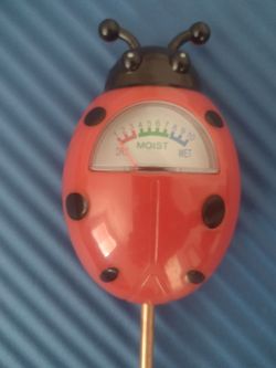 Soil Moisture Meter