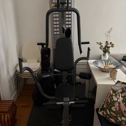 Multi-Station Home Gym - Total Body Weight Machine