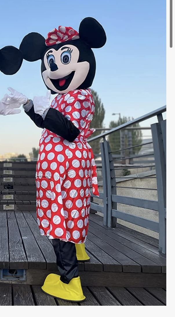 Minnie Mouse Costume