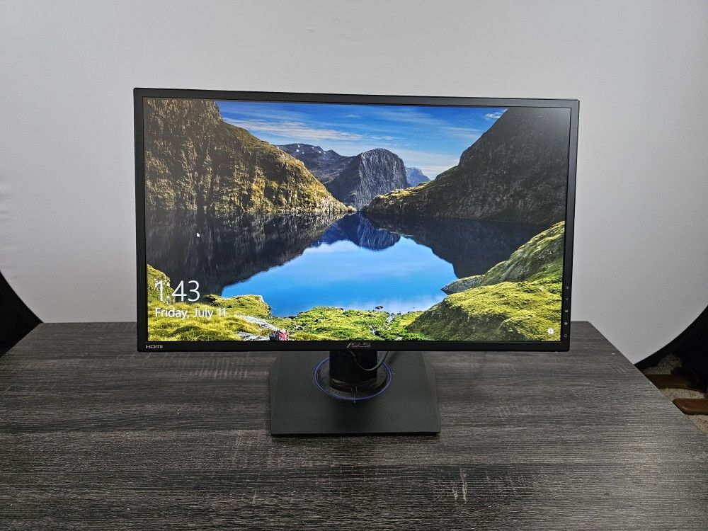 Asus Computer Monitor