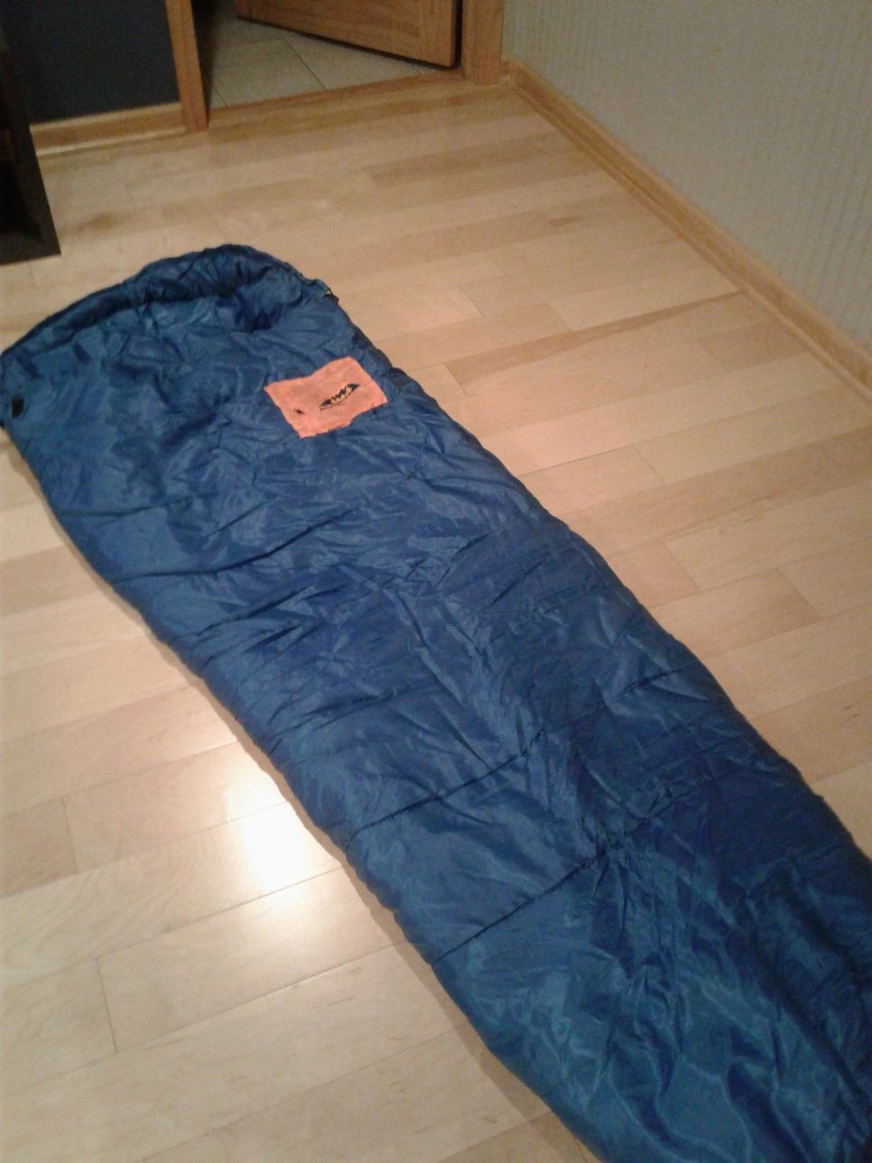REI Authentic adventure sleeping bag. Perfect condition