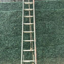 Extension Ladder 26’