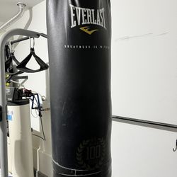 100lb Punching Bag 