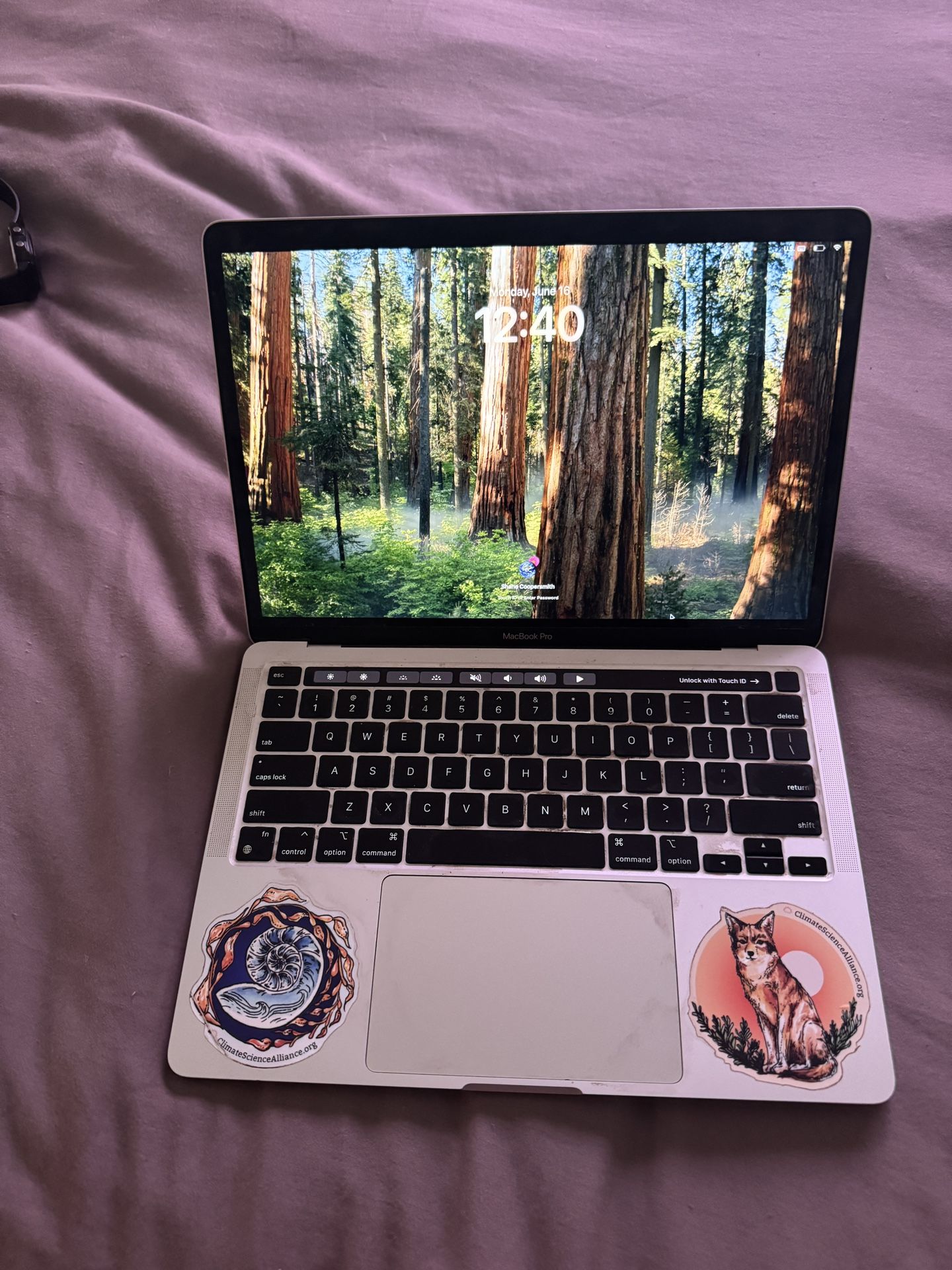 ๐ป MacBook Pro 13" (M1, 2020) โ 8GB RAM, 256GB SSD โ Great Condition!