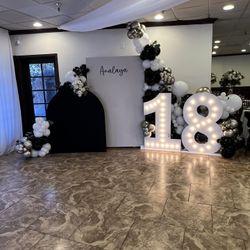 Balloon Garland & Backdrop