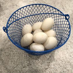 Fresh Duck Eggs 