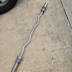 Weight Olympic Curl Bar 