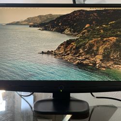 23” Hdmi Computer Monitor