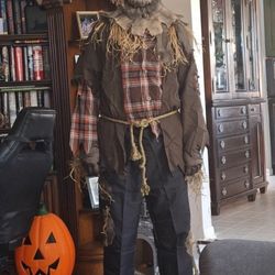 Mens Scarecrow Costume
