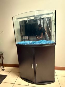 Large Fish Tank - Top Fin
