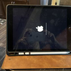 Apple iPad 9th generation 256GB Cellular