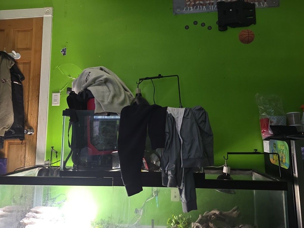 50 Gallon Tank 