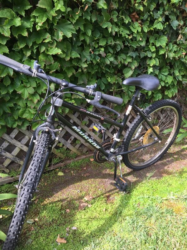 Murray mountain shadow mt bike!