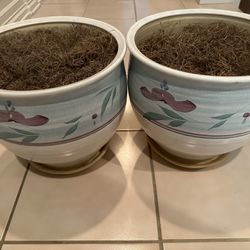 Pair Of 12”x12”  Decorative Ceramic Planter Pots With Shredded Brown Filling And Built-in Saucers