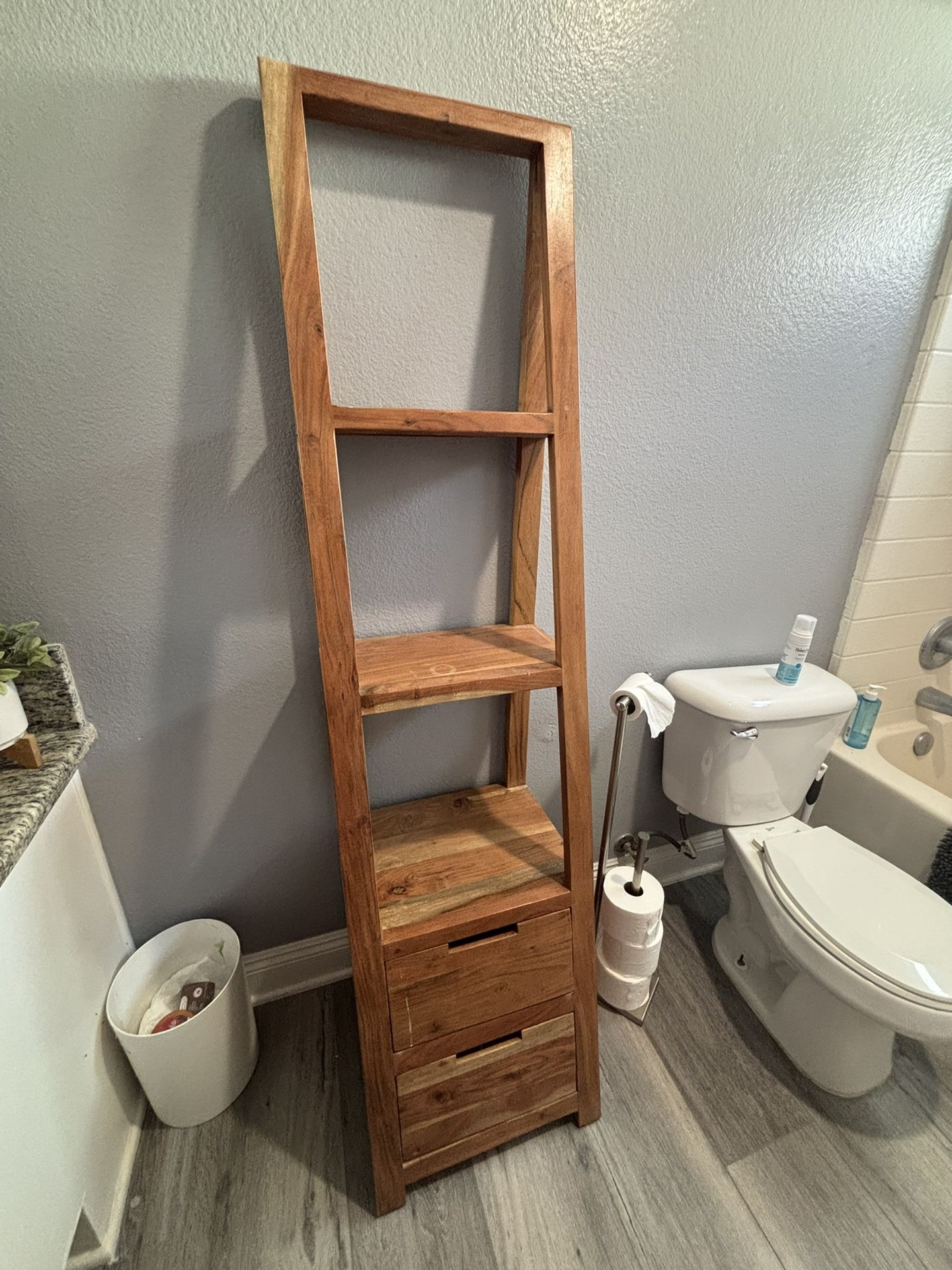 Book Shelf Ladder