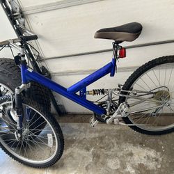 Blue Bike 