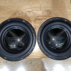 Pair Of 10” Subs 