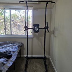 Pull Up Bar with dips + abs