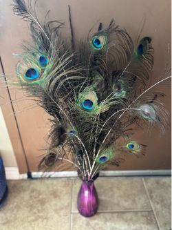 Huge vase of peacock feathers - excellent condition
