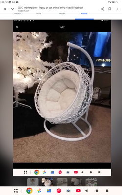 Your pet would love this check out all the pictures 👇👇👇👇👇👇