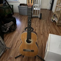 Acoustic Guitar Suzuki Violin N6  1965 w/ Stand