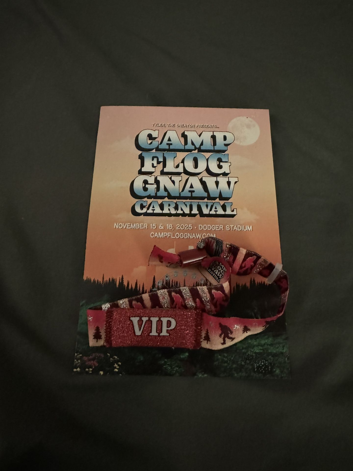 Camp Flog Gnaw VIP Wristband