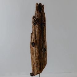 Driftwood Sculptures One Of A Kind 