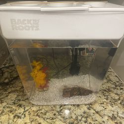 Fish Tank