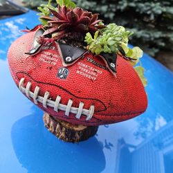 Garden Decoration Whis Plants Succulent In Cute Pot 