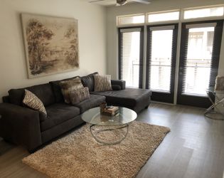 Whole Entire living Area!