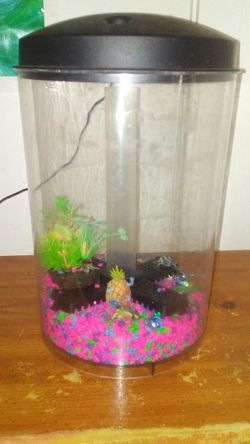 Fish tank