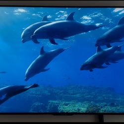 Sharp 4k Commercial Display with Tv Mount (70 Inch)