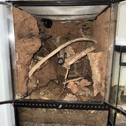 Exo Terra 18x18x24 Terrarium 