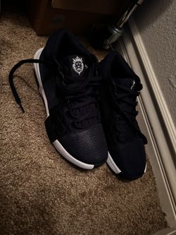 Lebron Witness Shoes