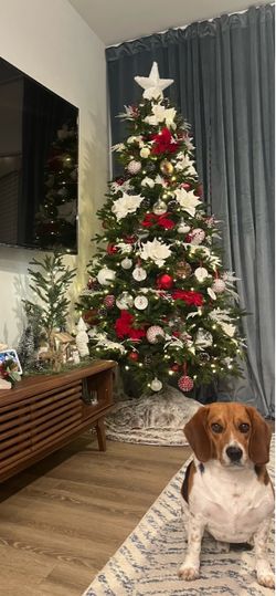 Christmas Tree - 7ft