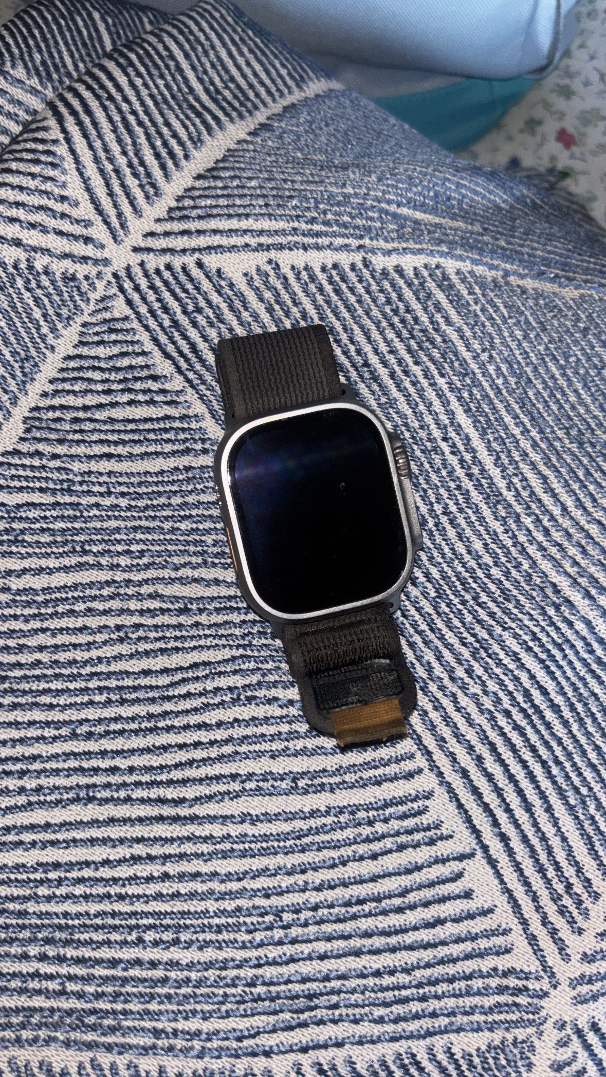 Apple Watch Ultra