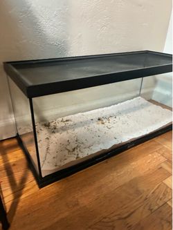 20 gallon tank