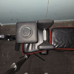 Peloton Dumbbells 30 Lbs