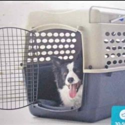 Petmate Vari Dog Kennel 32", Taupe & Black, Portable Dog Crate for Pets 30-50lbs, (pet dog cat bunny