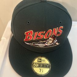Bison minor league