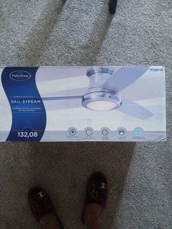 Ceiling fan